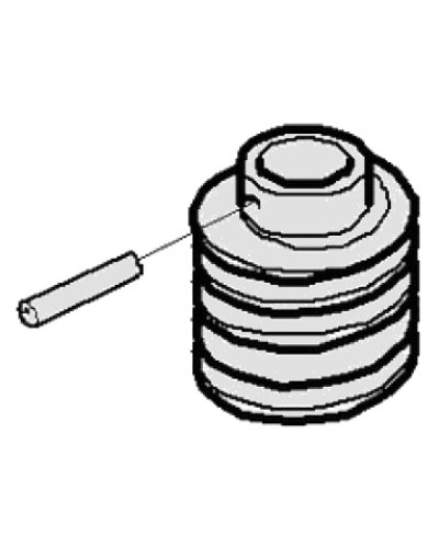 Червяк G2500 Came 119RIG094 в Абакане Запчасти для шлагбаумов и автоматики Pintop.ru