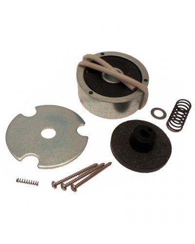 Электромагнит AMICO в сборе Came 119RID274 в Абакане Запчасти для шлагбаумов и автоматики Pintop.ru