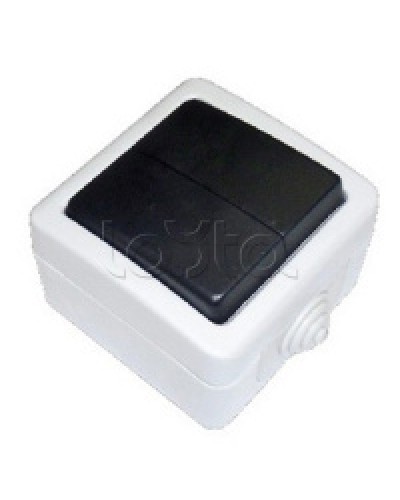 Экопласт EF602SA Переключатель 2-полюсный, двухклавишный с 2-х мест (сх.6+6) 10A (сер.) в Абакане Розетки компьютерные и телефонные Pintop.ru