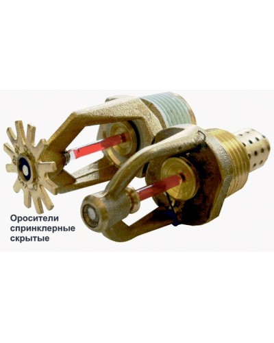Ороситель спринклерный скрытый Спецавтоматика СВК0-РНо 0,42-R1/2/Р68.В3-SSP-К80  с резьб. герм. в Абакане Оросители Pintop.ru