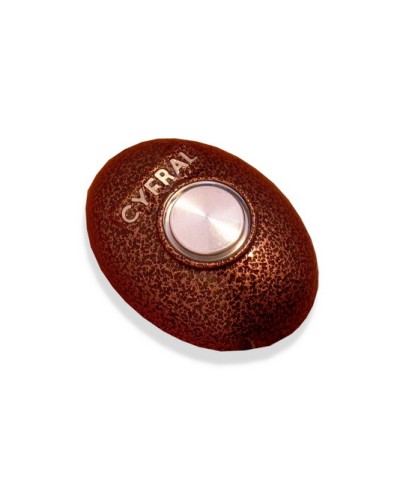 Кнопка открывания двери Цифрал КОДсП-4 в Абакане Многоабонентные устройства Pintop.ru