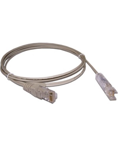 Патч-корд 110 тип - RJ45, 1 пара, UTP, 2 м LANMASTER LAN-45-P1-2m в Абакане Патч-корды и пигтейлы Pintop.ru