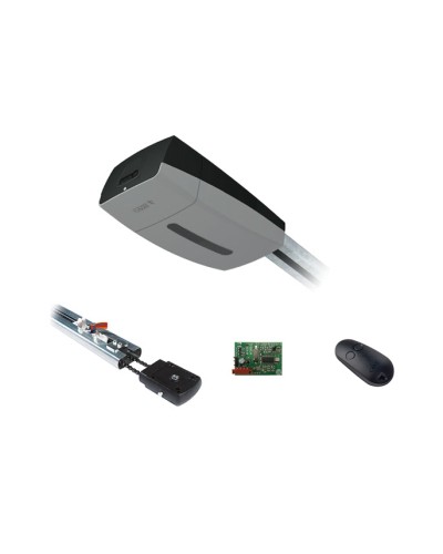 Came V10DMS3.25 KIT (до 3,25 м до 18 м2) - Комплект автоматики для секционных ворот высотой до 2,7 м на основе привода VER10DMS в Абакане Автоматизация ворот Pintop.ru