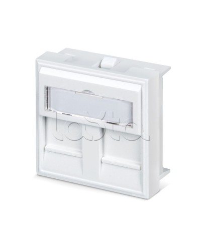 Вставка 45x45 (аналог Mosaic) для 2 модулей формата Keystone Jack Cabeus FP-45-2M в Абакане Модули Keystone Pintop.ru