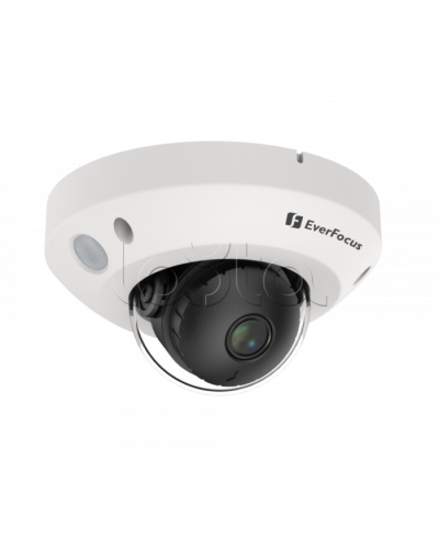 IP-камера видеонаблюдения купольная EverFocus EMN2560-SG в Абакане IP-камеры Pintop.ru
