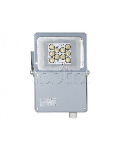 Прожектор светодиодный Forteza ФОСФОР-40/60-А (металл) в Абакане Аксессуары для средств охраны периметра Pintop.ru