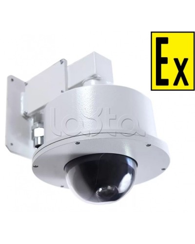 Видеокамера взрывозащищенная Компания СМД Орион МК PTZ- С-220В в Абакане Взрывозащищенные камеры Pintop.ru