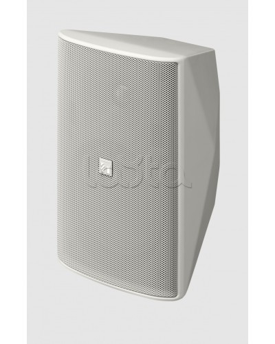 Громкоговоритель 2 полосный TOA F-1300WT в Абакане Системы оповещения и трансляции TOA Pintop.ru