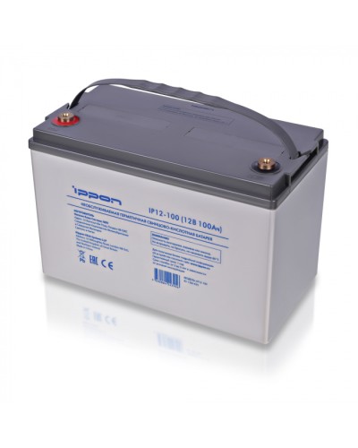 Батарея для ИБП Ippon IP12-100 в Абакане Электротехническое оборудование Pintop.ru