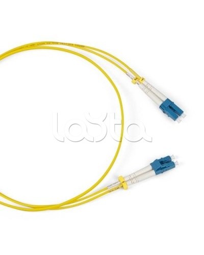 Патч-корд оптический TWT-2FC-2LC/SAU-0.5 в Абакане Патч-корды оптические Pintop.ru