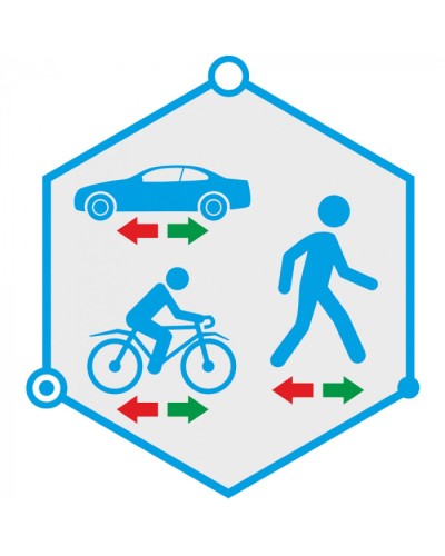 ПО детектор движения в запрещенном направлении TRASSIR Direction Detector в Абакане Системы видеонаблюдения Pintop.ru
