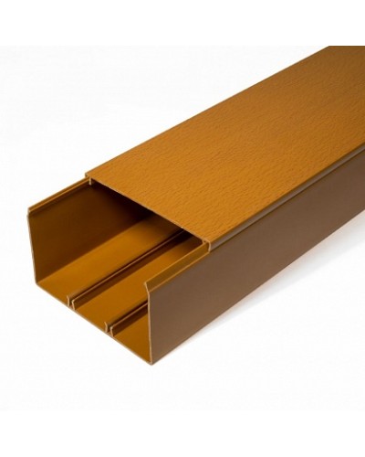 Кабель-канал бук 2-й замок в п/э 100х60 (8 м/уп) Промрукав (PR03.0207) в Абакане Огнестойкие кабельные линии Pintop.ru