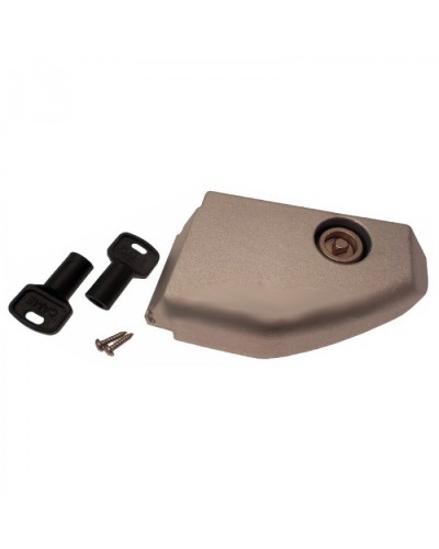 Дверца разблокировки с замком BX Came 119RIBX008 в Абакане Запчасти для шлагбаумов и автоматики Pintop.ru