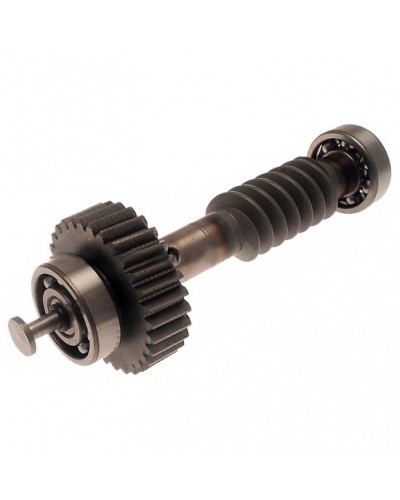 Червяк редуктора FAST в сборе Came 119RID228 в Абакане Запчасти для шлагбаумов и автоматики Pintop.ru