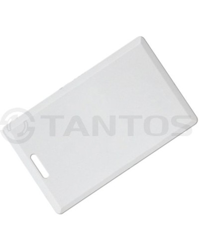 Карта толстая формата Temic Tantos Temic (толстая) TS в Абакане Оптовые идентификаторы Pintop.ru