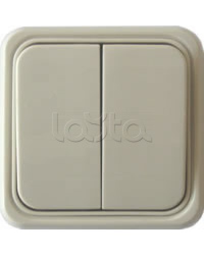 Выключатель двухклавишный открытой установки Экопласт, схема 5, (бежевый) в Абакане Розетки компьютерные и телефонные Pintop.ru