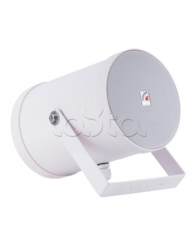 Двунаправленный Прожектор звуковой ROXTON SW-10T2 в Абакане Система оповещения и трансляции Roxton Pintop.ru