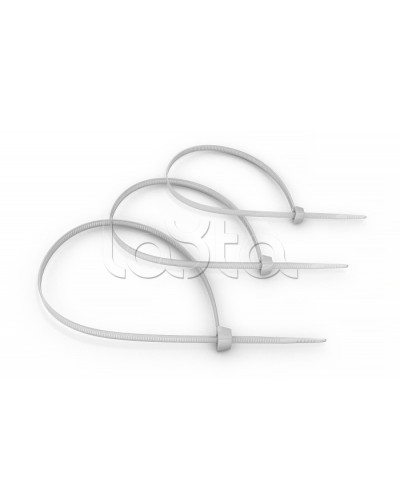 Стяжка нейлоновая неоткрывающаяся, безгалогенная (halogen free) 100x2.5мм, (100 шт) Cabeus CT-100 в Абакане Аксессуары для кабель-канала Pintop.ru