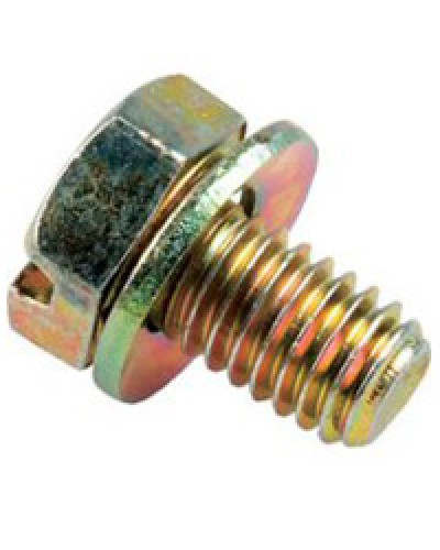 Винт с шайбой М6х10мм TH Legrand 036775 в Абакане Крепеж Pintop.ru