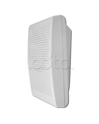 Модуль акустический С-Т-100 3/5 (ИП Раченков А.В.) в Абакане Оповещатели Pintop.ru