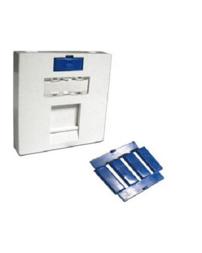 Вставка 45x45 на 1 кейстоун, угловая, со шторкой, маркировкой и иконками, белая LANMASTER LAN-SIP-23A-WH в Абакане Аксессуары для кабель-канала Pintop.ru