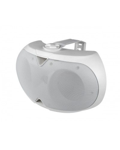 Громкоговоритель настенный 2-х полосный VOLTA ELLIPSE-2440TW в Абакане Система оповещения и трансляции Volta Pintop.ru