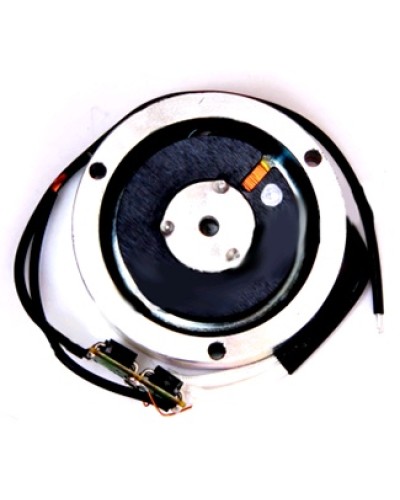 Электромагнит BY1500T Came 119RIY034 в Абакане Запчасти для шлагбаумов и автоматики Pintop.ru