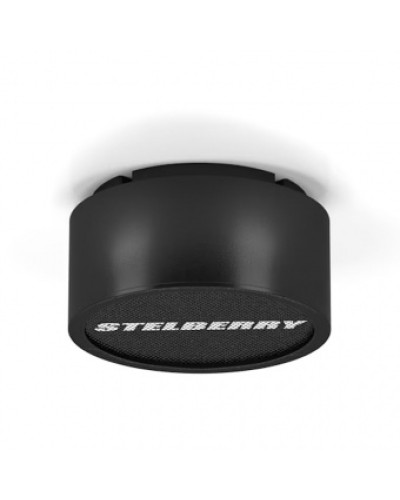 Громкоговоритель STELBERRY F-310B в Абакане Акустические системы Pintop.ru