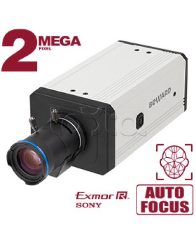 IP-камера видеонаблюдения купольная Beward SV2218M2 в Абакане IP-камеры Pintop.ru