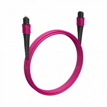 Кабельная сборка MPO(F) -MPO(M)-12 волокон 50/125 OM4, 2 m Cabeus (FOP-50-OM4-12-MPO(F)-12-MPO(M)-B-2m)