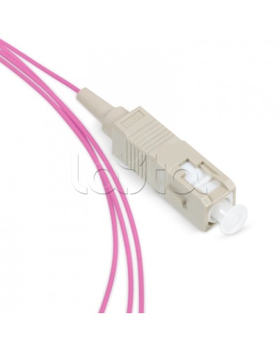 Пигтейл SC 50/125 mm (OM4) 1.5м LSZH Cabeus PT-SC-50-OM4 в Абакане Пигтейлы Pintop.ru