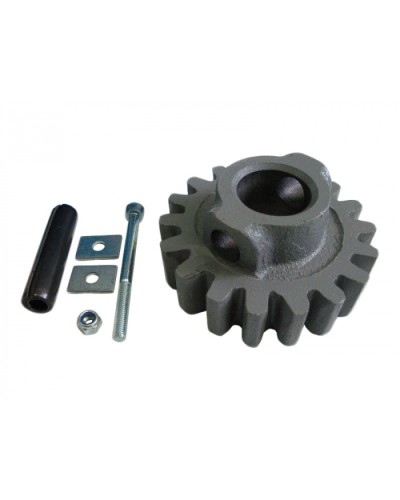 Шестерня ведущая ВК Came 119RIBK002 в Абакане Запчасти для шлагбаумов и автоматики Pintop.ru