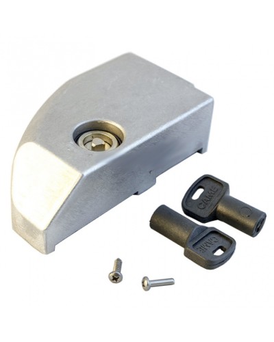 Дверца замка разблокировки BK Came 119RIBK012 в Абакане Запчасти для шлагбаумов и автоматики Pintop.ru