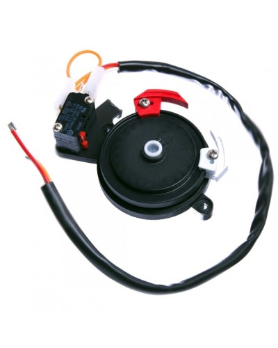 Концевые микровыключатели в сборе BX-243 Came 119RIBX041 в Абакане Запчасти для шлагбаумов и автоматики Pintop.ru