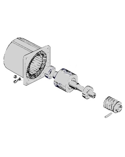 Электродвигатель С-100 Came 119RIC052 в Абакане Запчасти для шлагбаумов и автоматики Pintop.ru