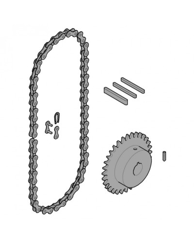 Передающая система (цепь и звездочки) C005 Came 119RICX016 в Абакане Запчасти для шлагбаумов и автоматики Pintop.ru