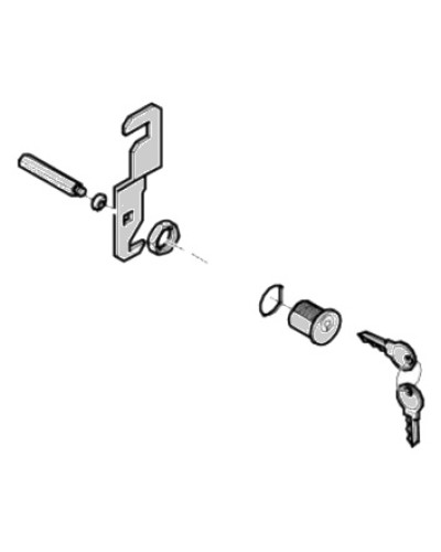 Замок дверцы G4040 G4041 Came 119RIG176 в Абакане Запчасти для шлагбаумов и автоматики Pintop.ru