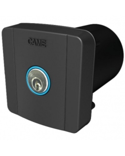 Ключ-выключатель встраиваемый Came 806SL-0020 в Абакане Запчасти для шлагбаумов и автоматики Pintop.ru