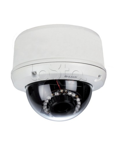 IP-камера видеонаблюдения уличная купольная D-Link DCS-6510/EP в Абакане IP-камеры Pintop.ru