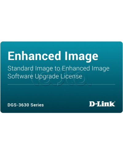 ПО D-Link DGS-3630-28TC-SE-LIC в Абакане Беспроводное оборудование Pintop.ru