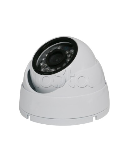 Камера видеонаблюдения купольная EverFocus ACE-IAB20XHD в Абакане Аналоговые камеры Pintop.ru