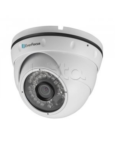 IP-камера видеонаблюдения купольная EverFocus ACE-IAV30 в Абакане IP-камеры Pintop.ru