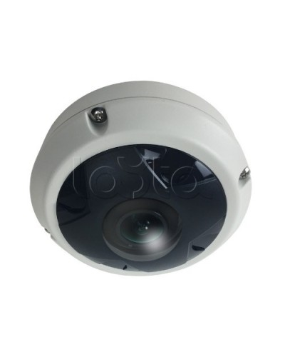 IP-камера видеонаблюдения купольная EverFocus ACE-KU89F в Абакане IP-камеры Pintop.ru