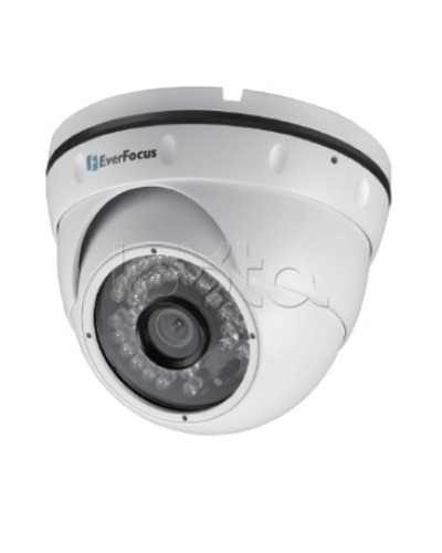 IP-камера видеонаблюдения уличная купольная EverFocus EBN-268 в Абакане IP-камеры Pintop.ru
