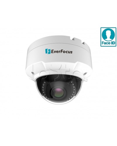 IP-камера видеонаблюдения купольная EverFocus EHN-2550 в Абакане IP-камеры Pintop.ru