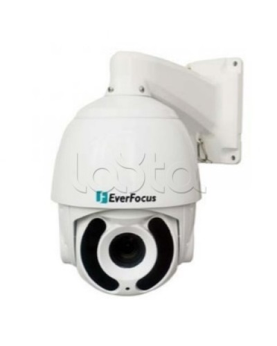 Камера видеонаблюдения поворотная купольная EverFocus EPA-6236 в Абакане Аналоговые камеры Pintop.ru
