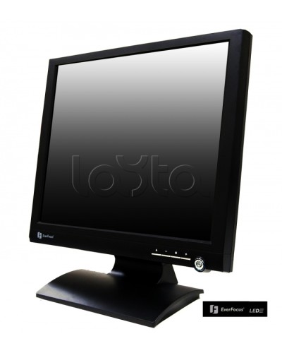 Монитор профессиональный EverFocus FH-19LED в Абакане Мониторы для видеонаблюдения Pintop.ru