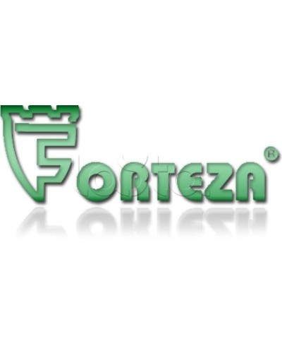 Плата сменная Forteza Плата БГр-4 в Абакане Устройства защиты операционных процессоров (ОПС) Pintop.ru