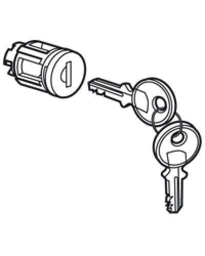 Цилиндр встроенный под ключ №405 Legrand 020291 в Абакане Дополнительное оборудование для сетей Pintop.ru