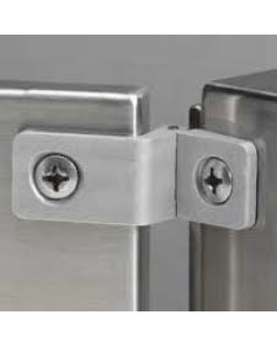 Петли для электромонтажных коробок Atlantic Legrand 035807 в Абакане Полки для шкафов и стоек Pintop.ru